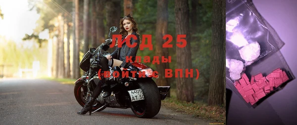 ешки Алексин