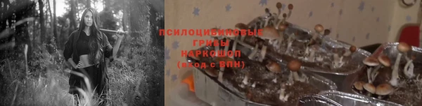 ешки Алексин