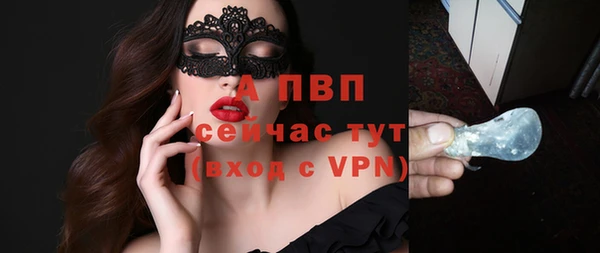 ешки Алексин