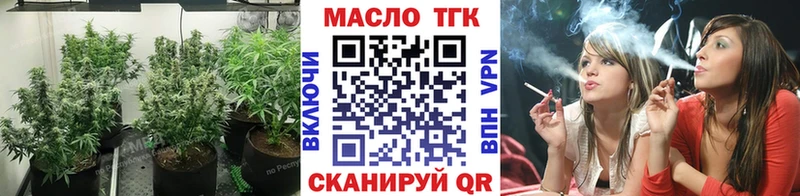 где можно купить   Звенигово  ТГК THC oil 